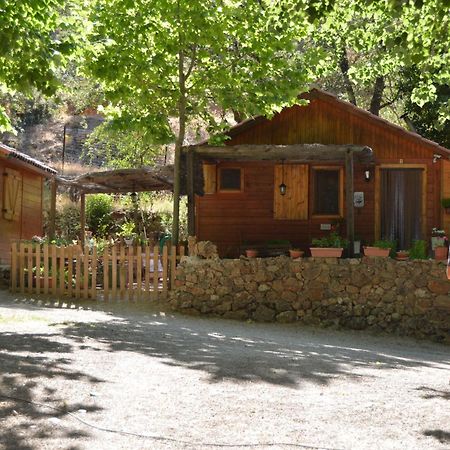 Cabanas Camping Sierra De Penascosa Buitenkant foto